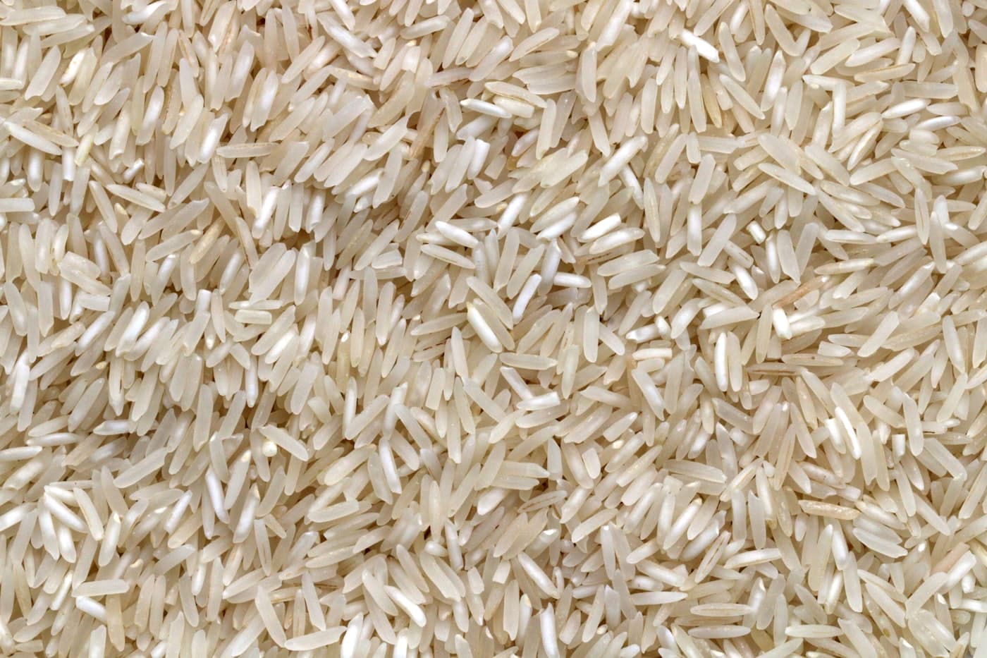 Grains of rice, the base of every Malagasy meal